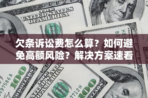 北京欠条诉讼费怎么算？如何避免高额风险？解决方案速看！
