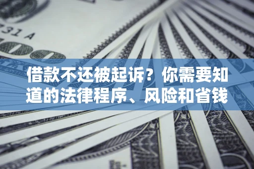 北京借款不还被起诉？你需要知道的法律程序、风险和省钱技巧